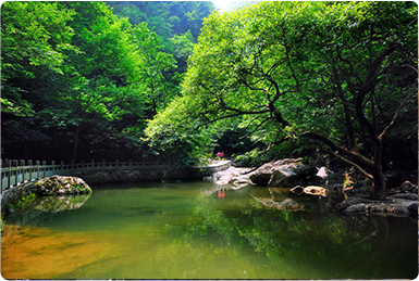 鄉(xiāng)村產(chǎn)業(yè)振興