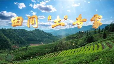 田間“土”專家