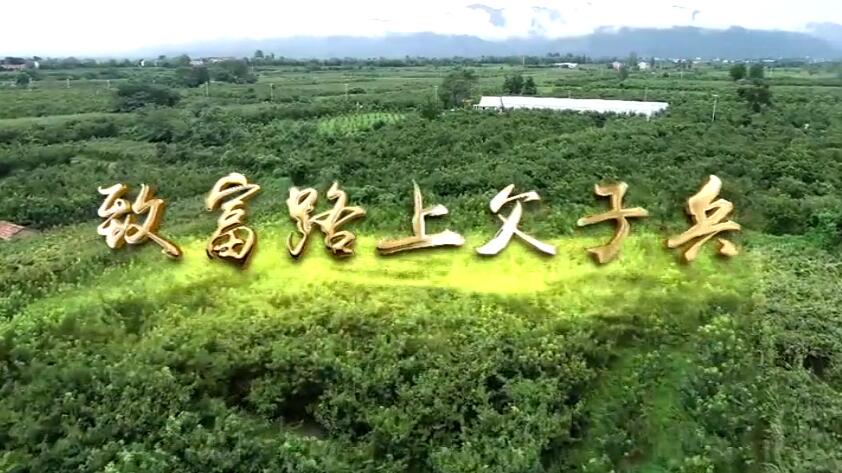 致富路上父子兵7