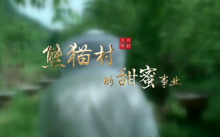 “熊貓村”的甜蜜事業(yè)