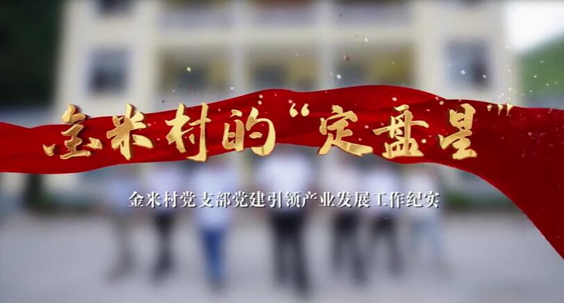 金米村的“定盤星”