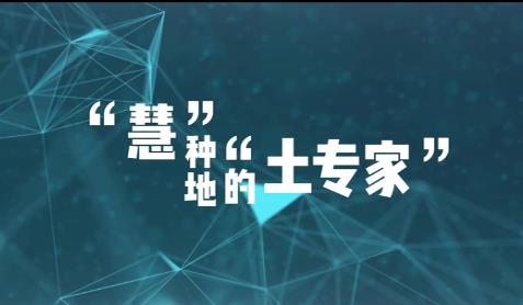 “慧”種地的“土專家”