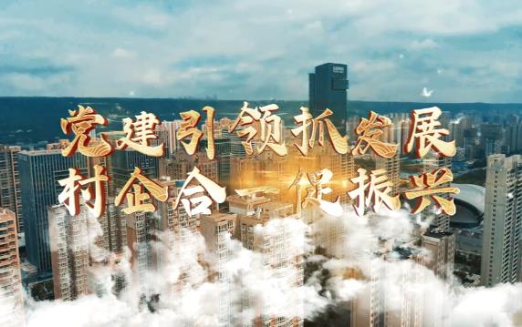 黨建引領抓發(fā)展 村企合...