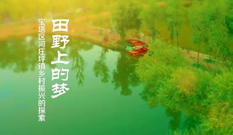 田野上的夢(mèng)