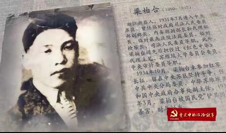 “以身付諸國”的紅色法...