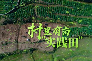 村里有畝“實踐田”