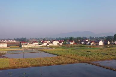 稻漁綜合種養(yǎng)生產(chǎn)技術(shù)