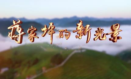 蔣家坪的新光景