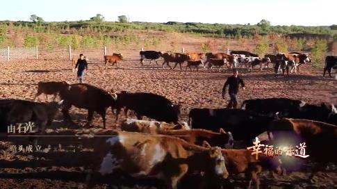 沙?！坝薰?>
								<p>沙海“愚公”</p>
						</a></li> 						<li><a href=