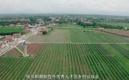 張書記和他的四封信