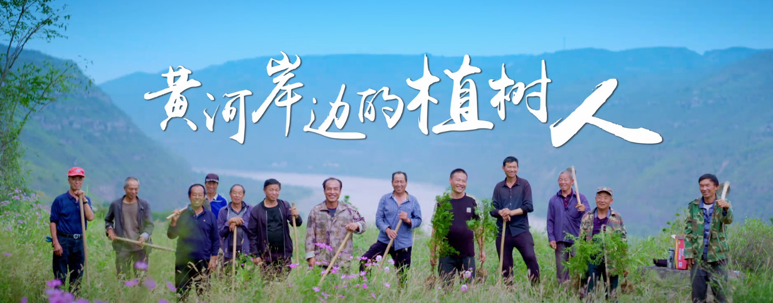 黃河岸邊的植樹(shù)人8