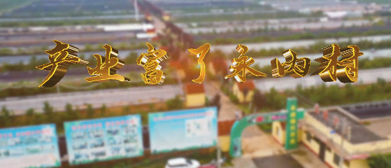 產(chǎn)業(yè)富了永內(nèi)村7