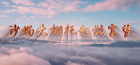 沙場大棚托起致富夢9