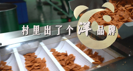 村里出了個(gè)洋品牌8