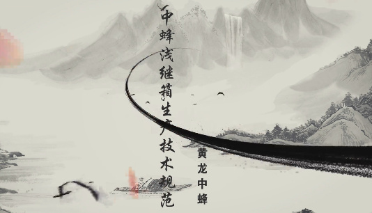 黃龍中蜂淺繼箱生產(chǎn)技術(shù)...13