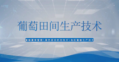 農(nóng)業(yè)小課堂——葡萄田間...15
