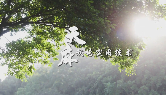 天麻栽培實(shí)用技術(shù)8