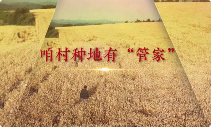 咱村種地有“管家”9