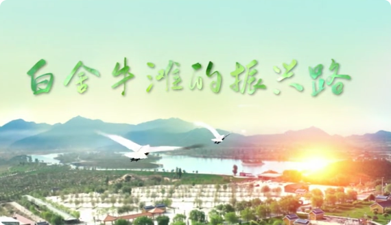 白舍牛灘的振興路8