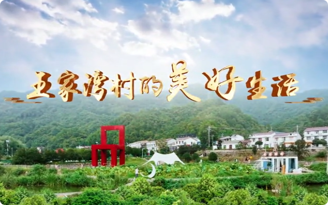 王家灣村的美好生活9