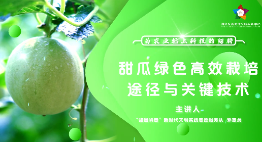 甜瓜綠色高效栽培途徑與...