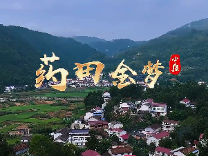 藥田金夢(mèng)4