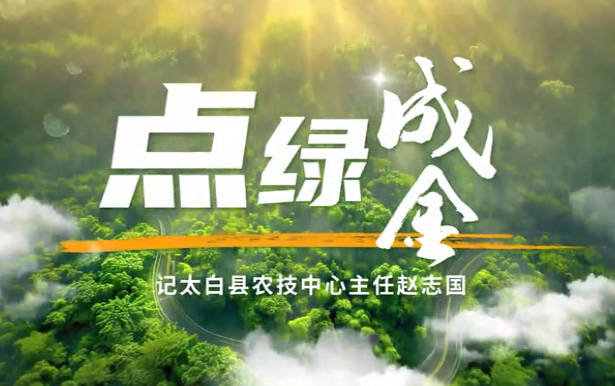 點(diǎn)綠成金4