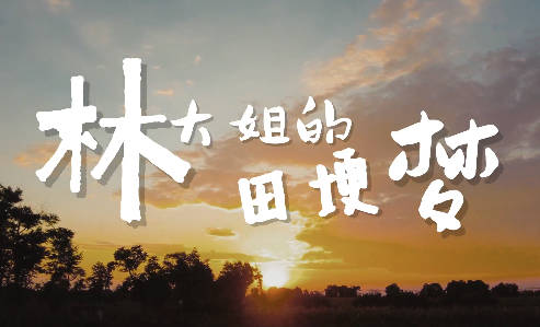 林大姐的田埂夢7