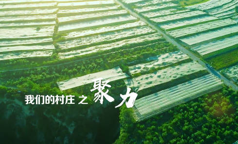 我們的村莊之聚力8