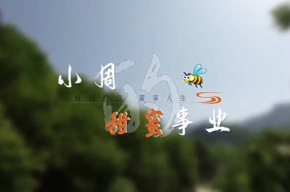 小周的甜蜜事業(yè)7