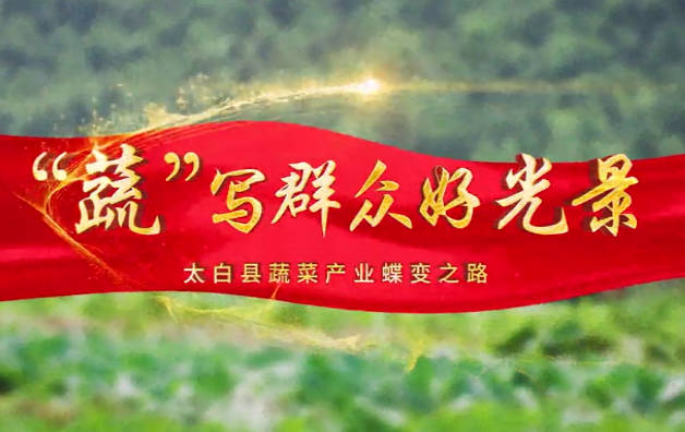 “蔬”寫群眾好光景9