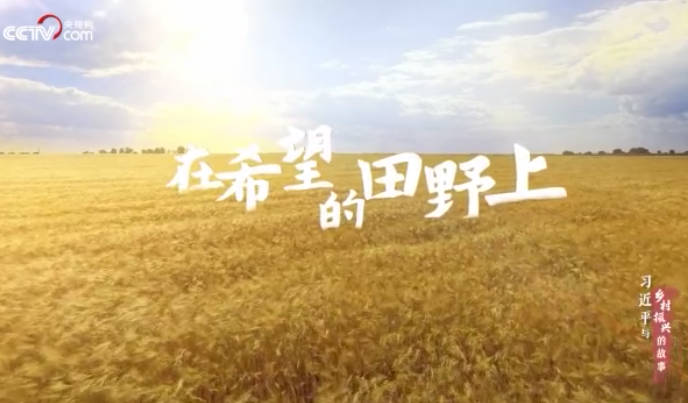 習近平與鄉(xiāng)村振興的故事...