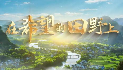 在希望的田野上7